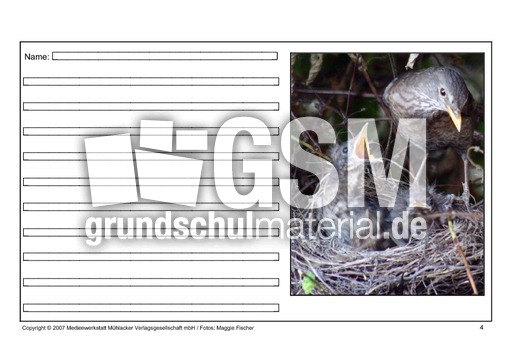 Amsel-eigene-Texte-4.pdf